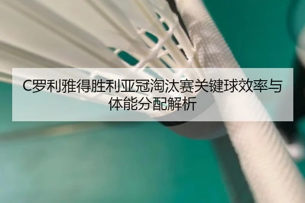 luo-li-ya-de-sheng-li-ya-guan-tao-tai-sai-guan-jian-qiu-xiao-lv-yu-ti-neng-fen-pei-jie-xi-2-340.jpg